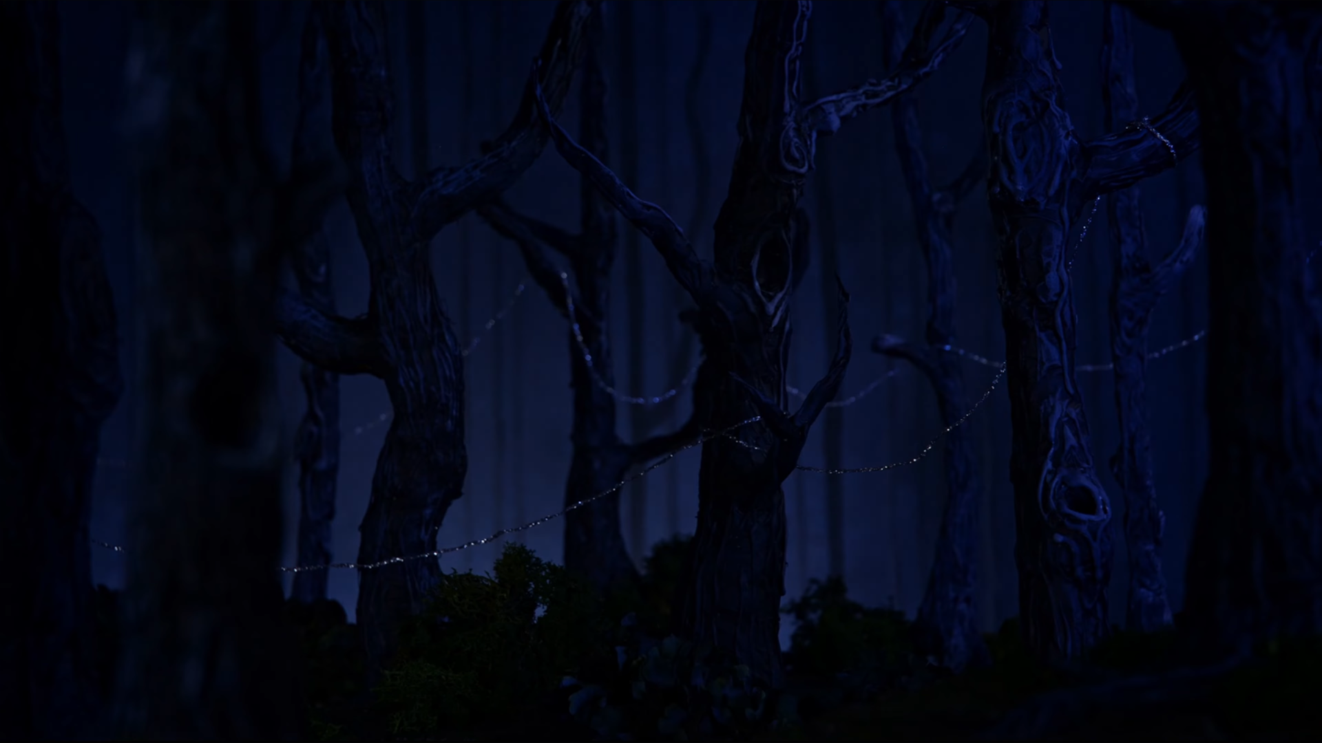verworven still 6
